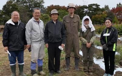栽培方法や生産者の顔がわかる100%国産の紫根※1を使用②.jpg